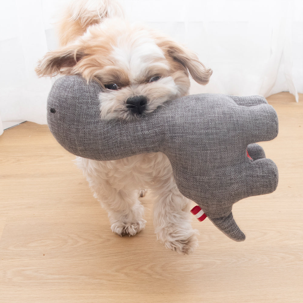 Louie Living Davie the Dino
