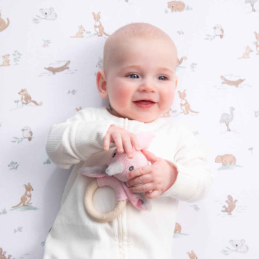 Ring Rattle - Galah