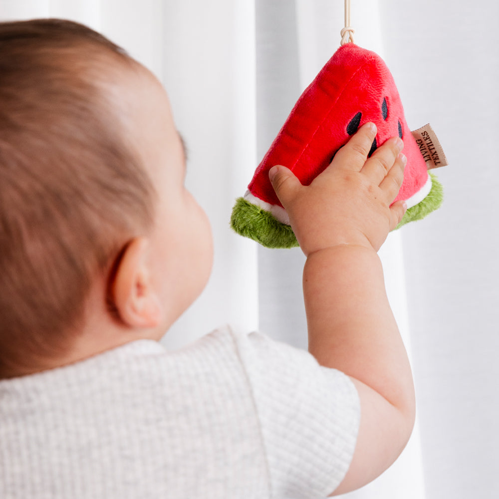 2 Pack Mini Market Brunch Stroller Toys - Watermelon & Blueberry