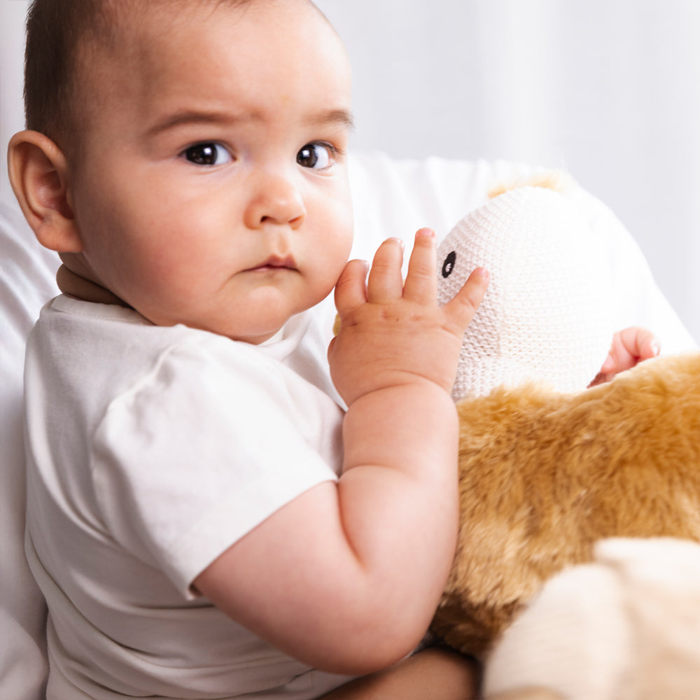Knitted Toy - Emily the Emu