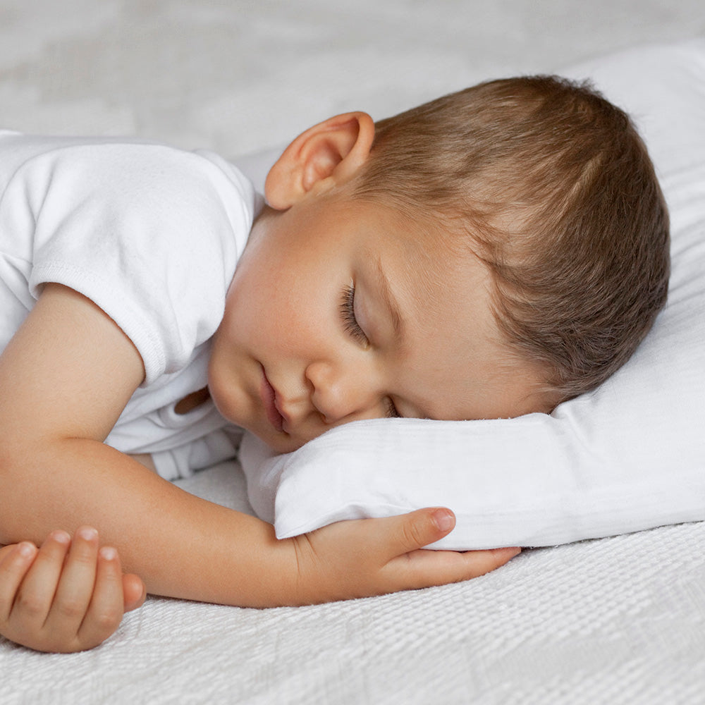 Cotton Toddler Pillow