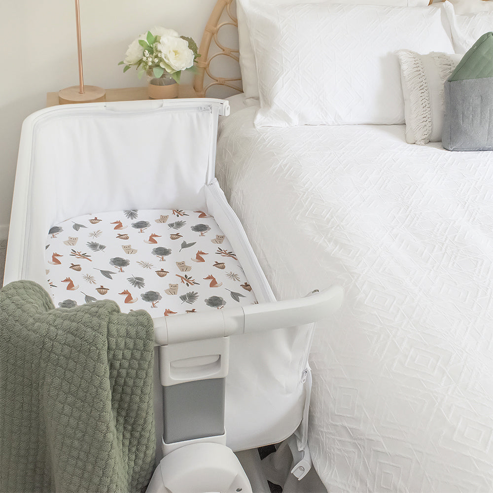 2 Pack Bedside Sleeper Fitted Sheets - Forest Retreat