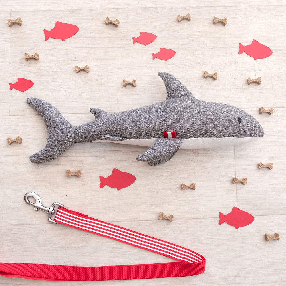 Louie Living Sammie the Shark
