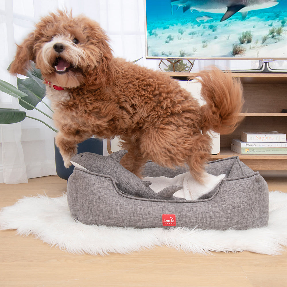 Louie Living Sammie the Shark