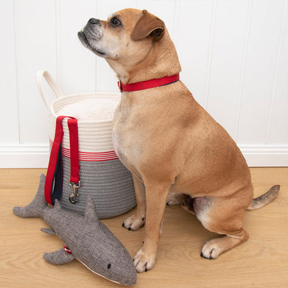 Louie Living Sammie the Shark
