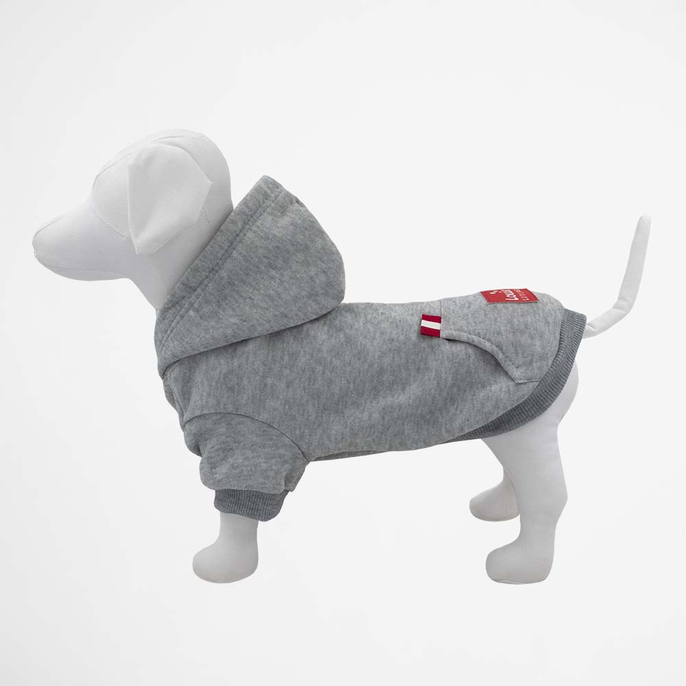 Hoodie (Grey) - Large