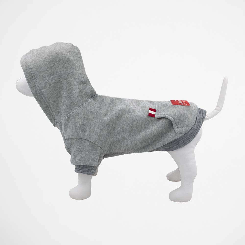 Hoodie (Grey) - Small
