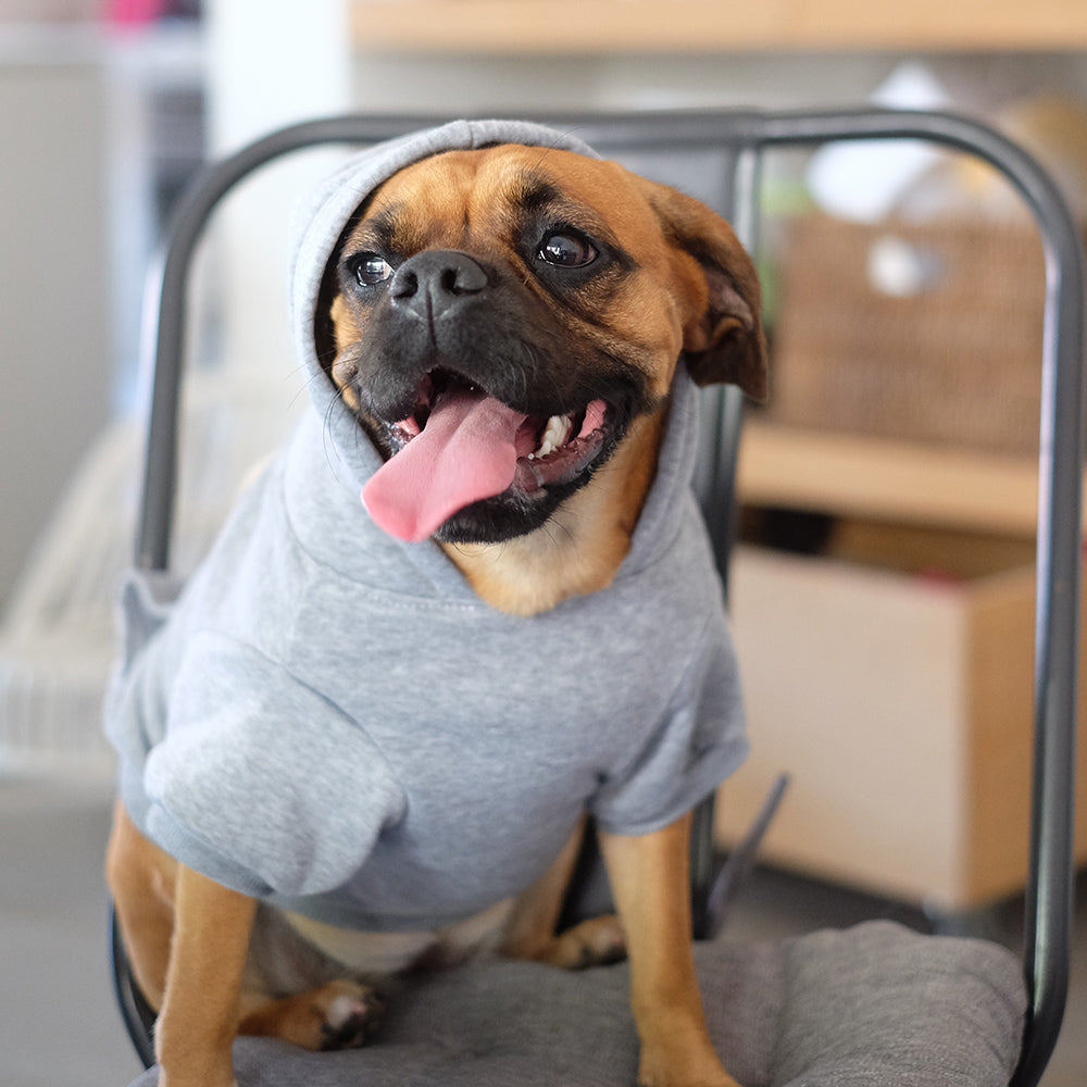 Hoodie (Grey) - Medium