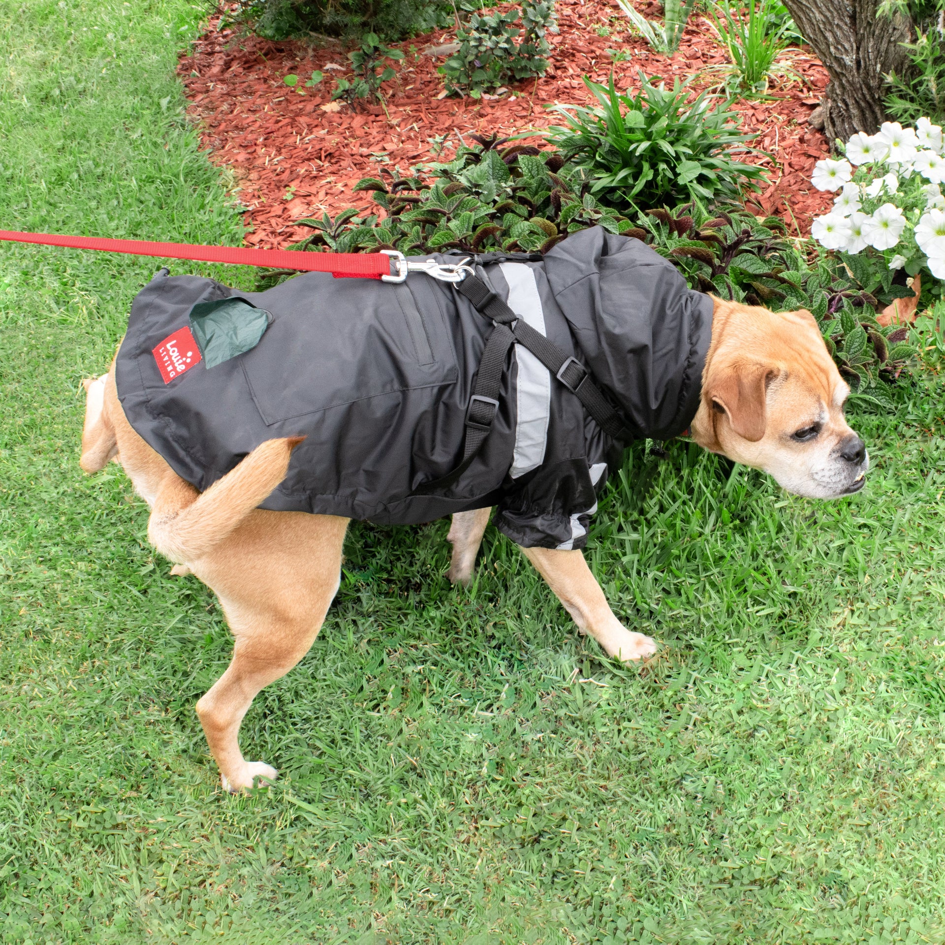 Louie Living Black Raincoat -2XL