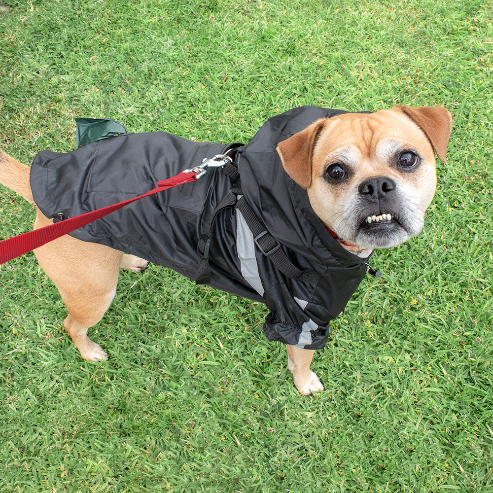 Louie Living Black Raincoat -Large