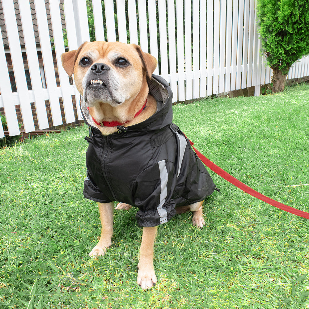 Louie Living Black Raincoat -Large