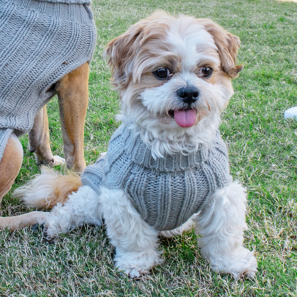 Louie Living Cable Knit Sweater (Grey) - Small