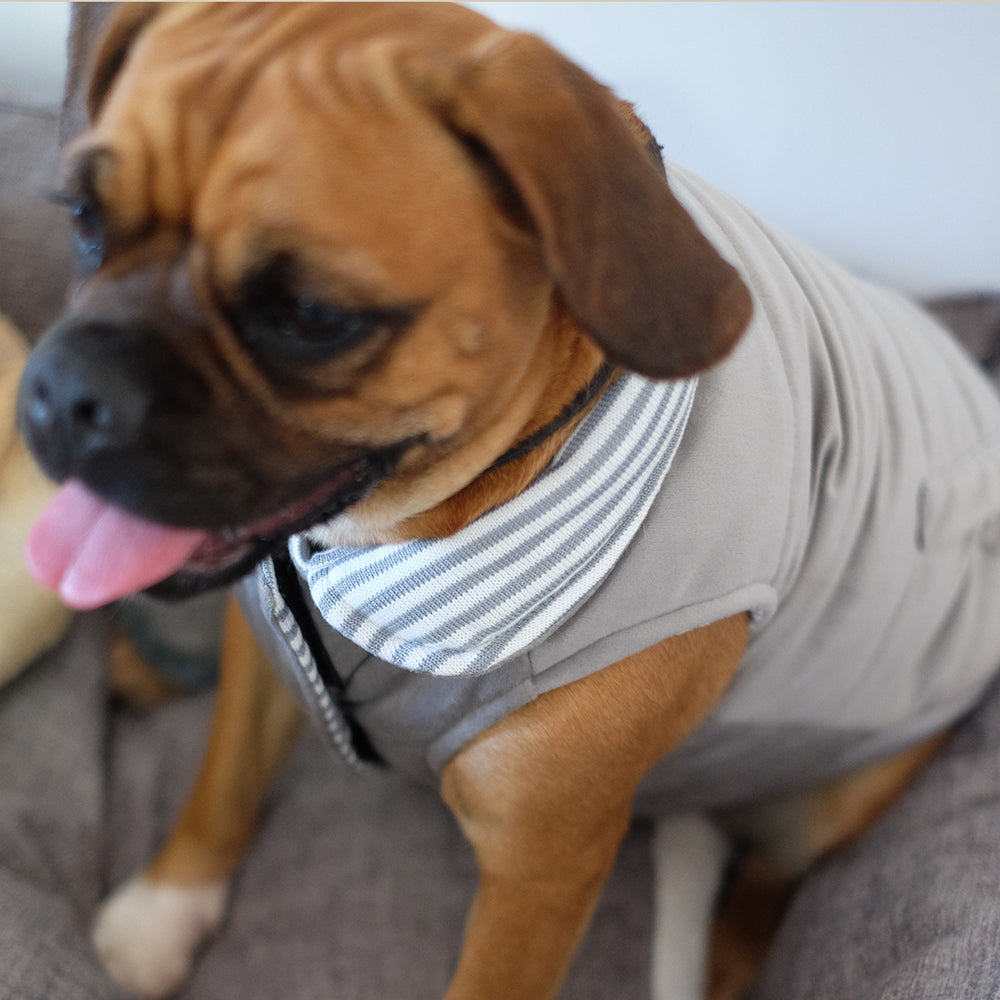 Louie Living Reversible Light Sweater - Medium