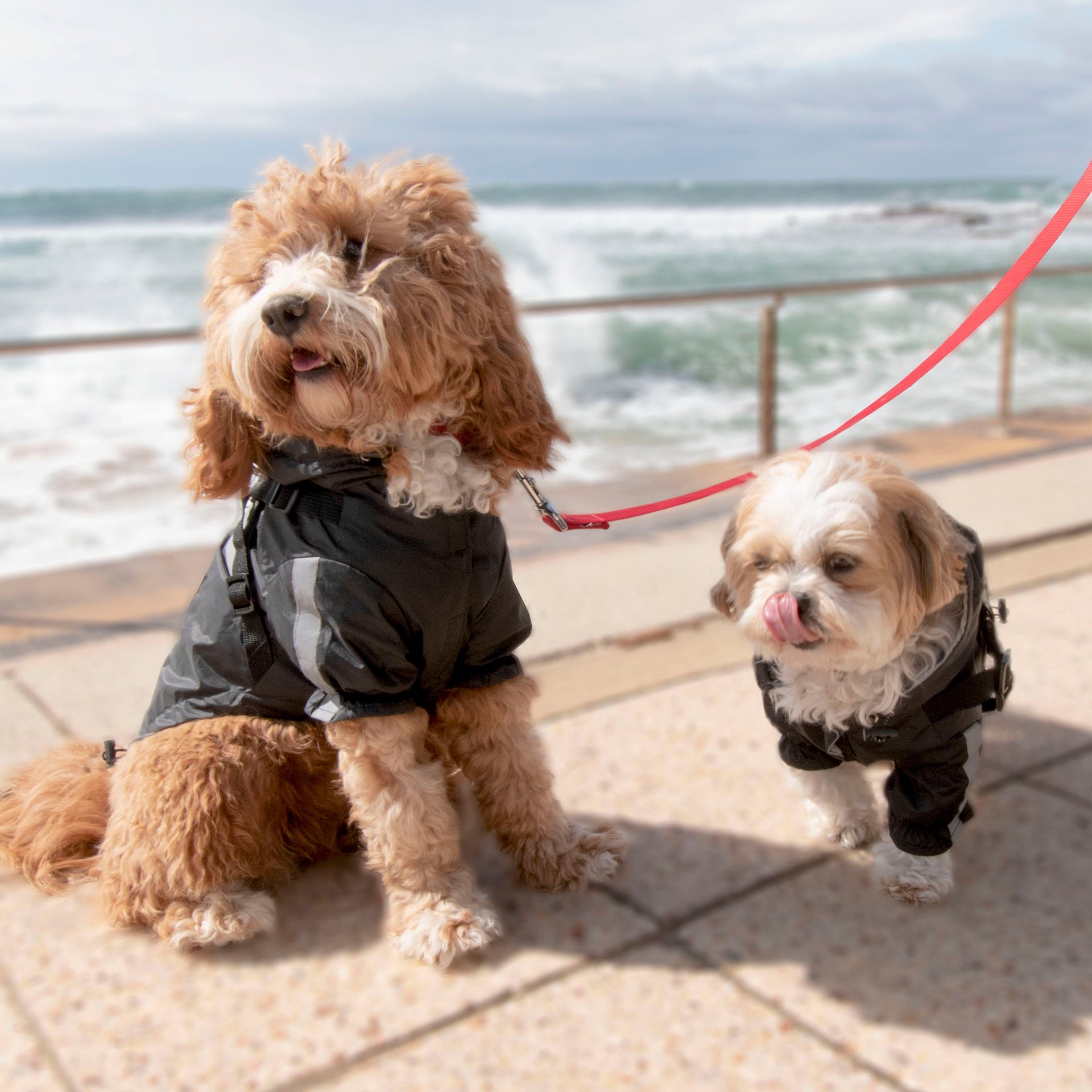 Louie Living Black Raincoat -Medium