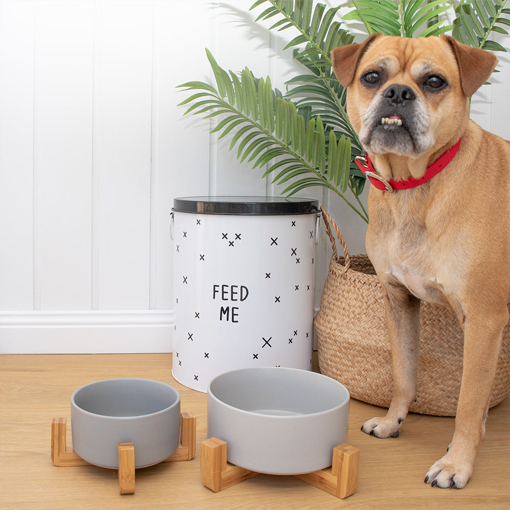 Louie Living Bowl With Stand (Grey) - Large [20cm(D) x 8cm (H)]
