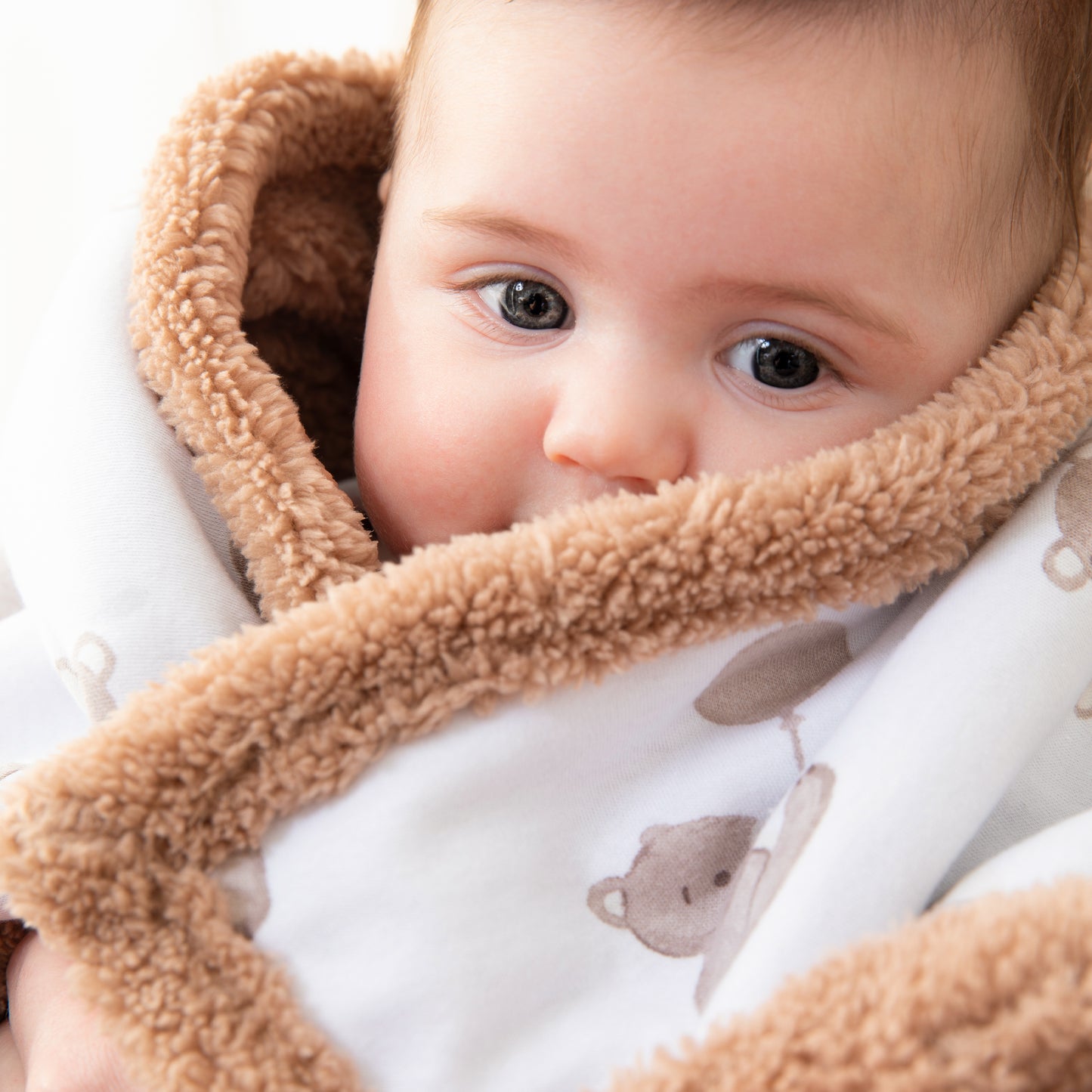 Organic Jersey Sherpa Blanket - Cuddly Bear