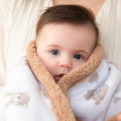 Organic Jersey Sherpa Blanket - Cuddly Bear